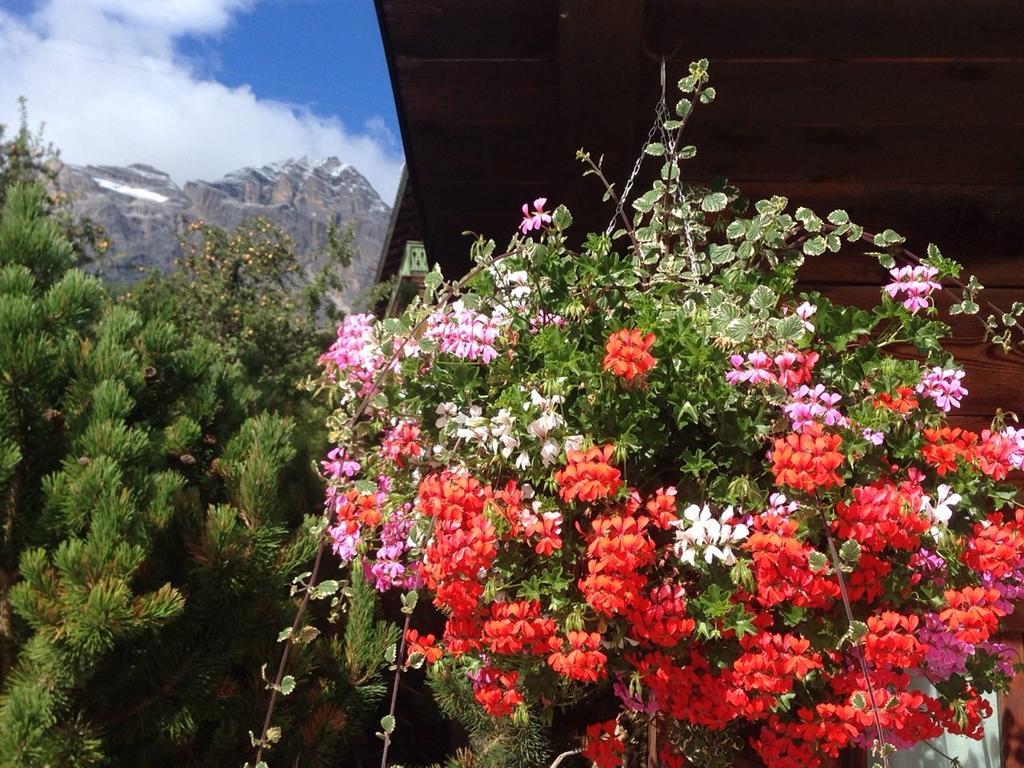 Hotel Villa Nevada Cortina dʼAmpezzo Eksteriør billede